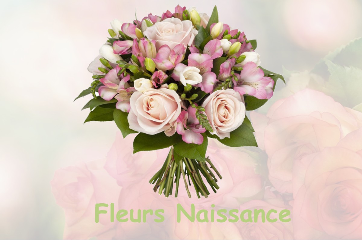 fleurs naissance CUSSAC-SUR-LOIRE